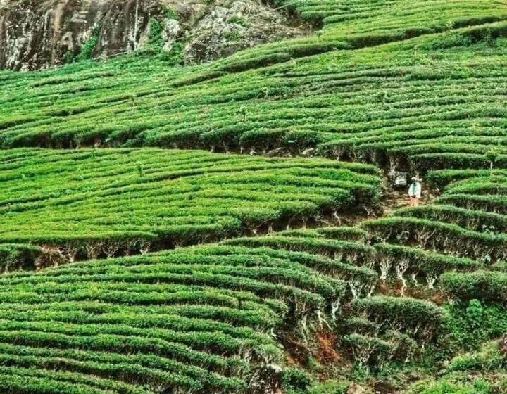 Отель Haranya Homestay