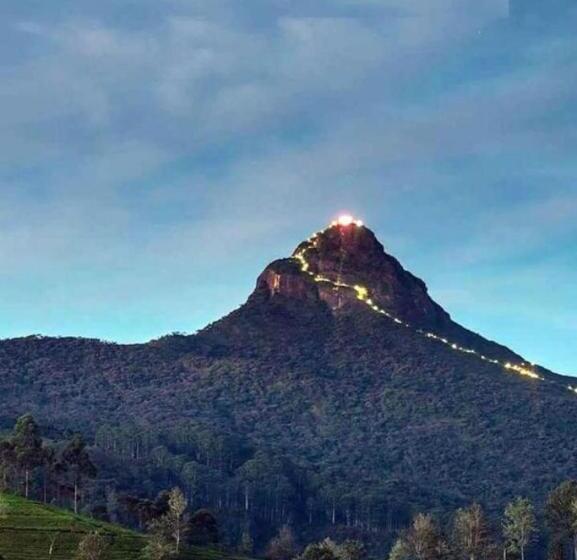 Отель Haranya Homestay