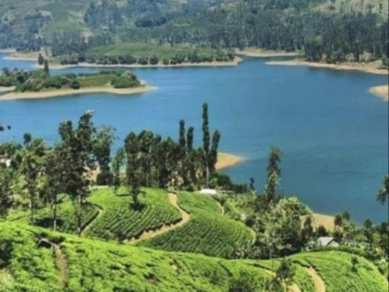 Отель Haranya Homestay