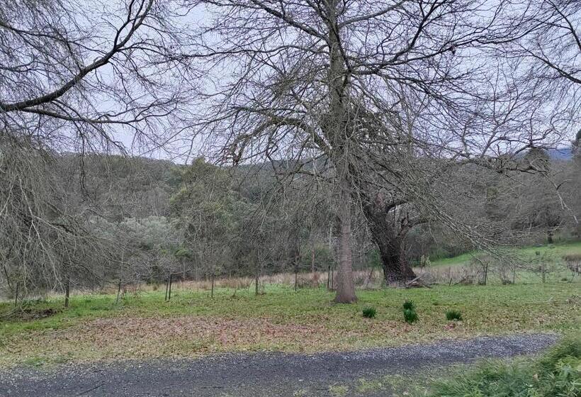 בית מלון כפרי Country Farm