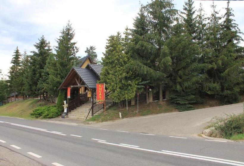 בית מלון כפרי Hanul Lui Matei 1