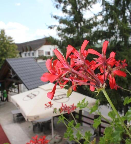 בית מלון כפרי Hanul Lui Matei 1