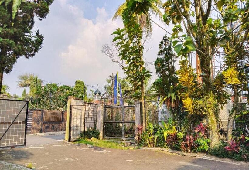 Отель New Sabrina