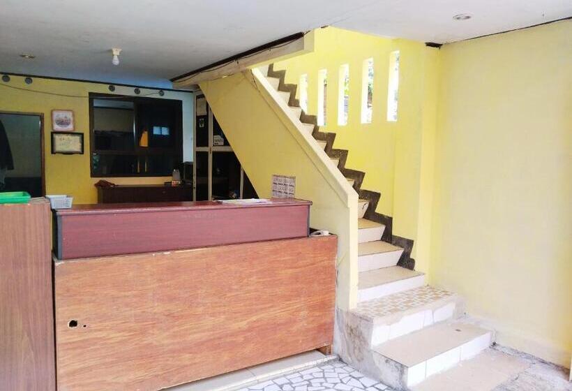 Отель New Sabrina