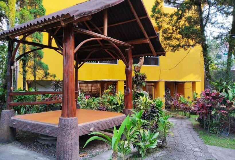 Отель New Sabrina