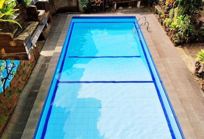 Отель New Sabrina