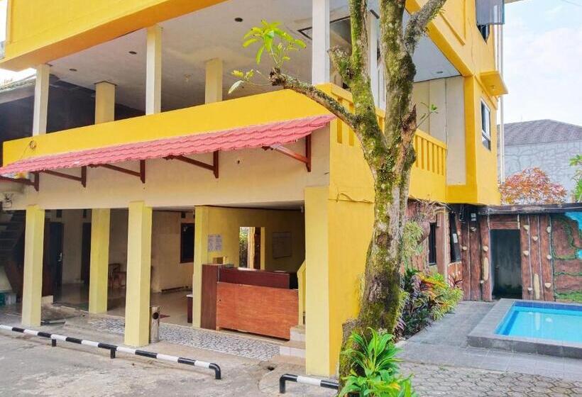 Отель New Sabrina