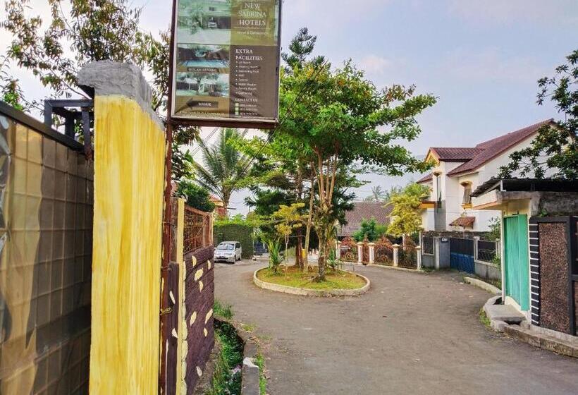 Отель New Sabrina