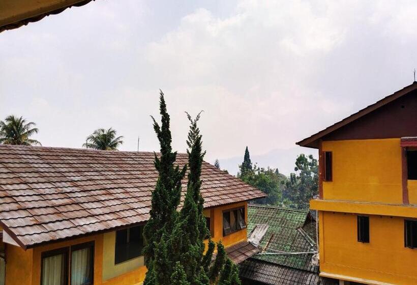 Отель New Sabrina