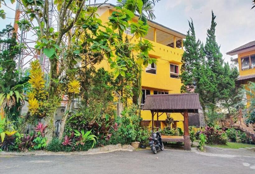 Отель New Sabrina