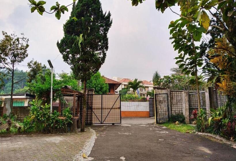 Отель New Sabrina