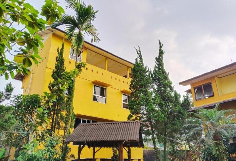 Отель New Sabrina