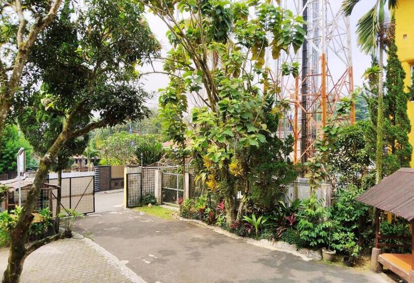 Отель New Sabrina