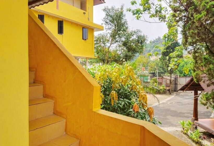 Отель New Sabrina