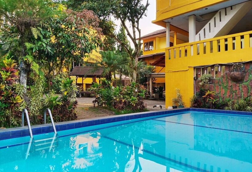 Отель New Sabrina