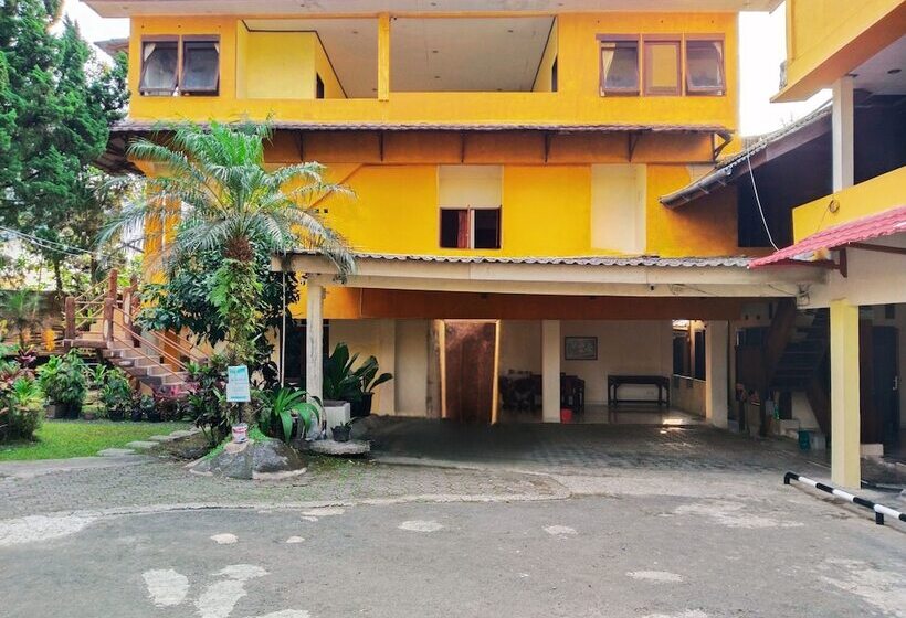 Отель New Sabrina