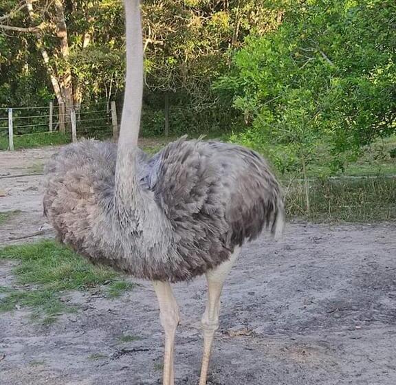 فندق Piedra Alta