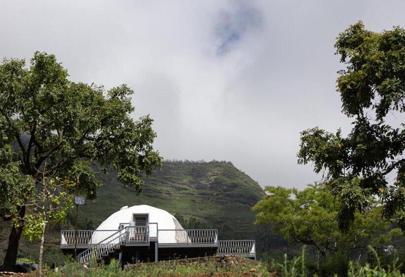 هتل Tomorrowland Farms And Suites