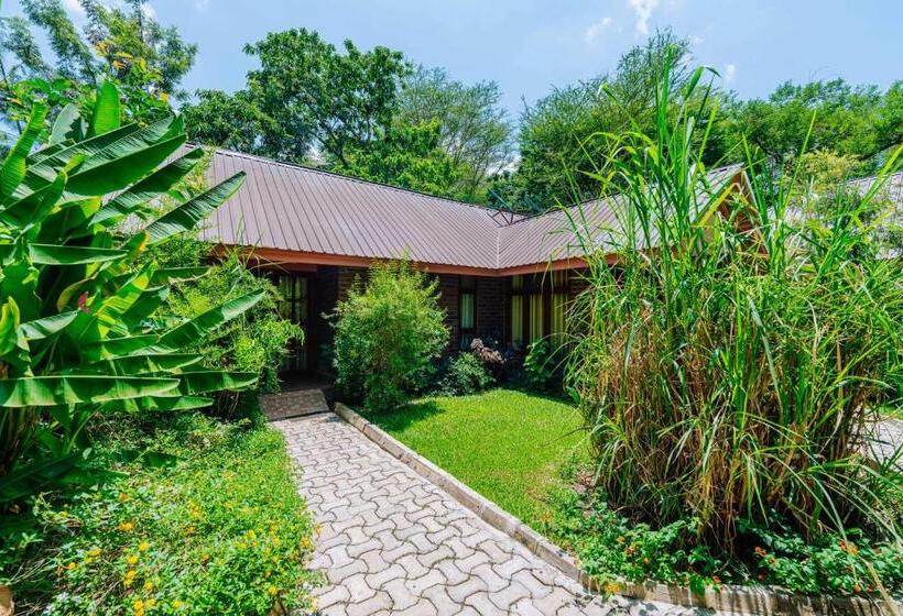 בית מלון כפרי Under The Shade Safari Lodge