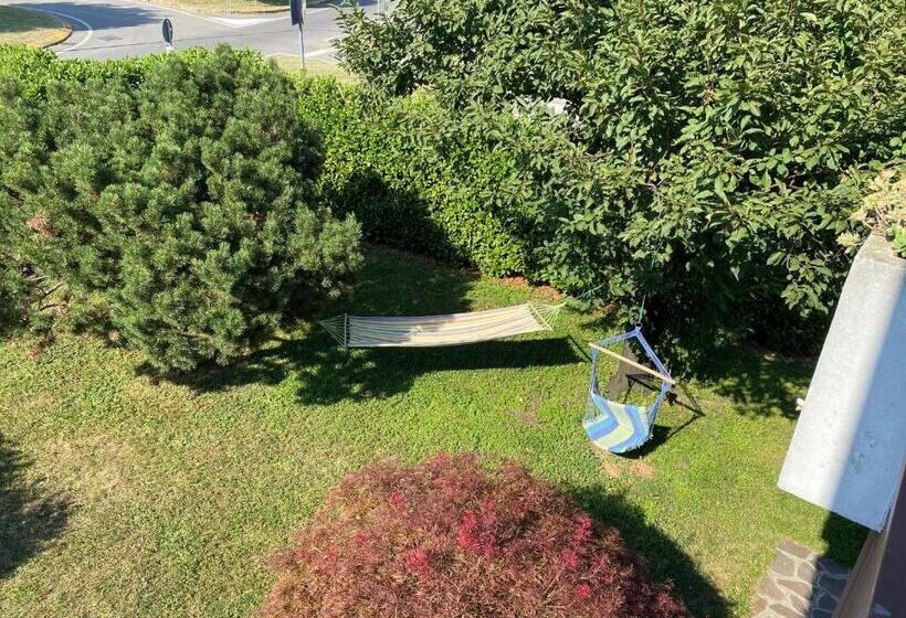 Il Glicine Bianco B&b