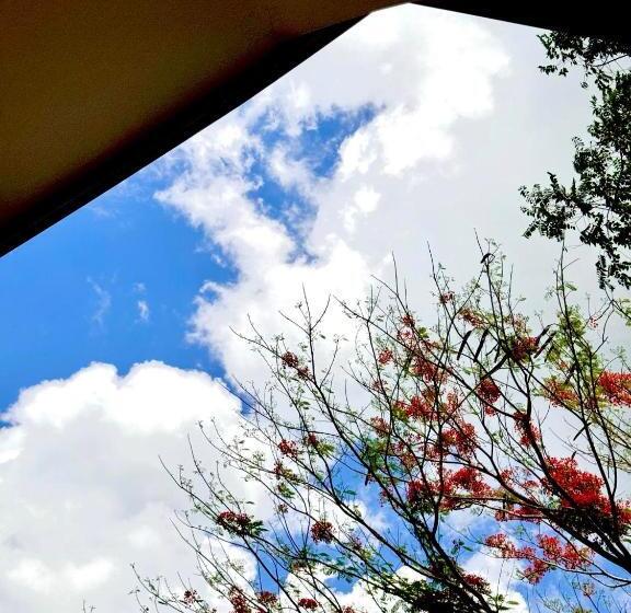 Mayad El Nido Hostel