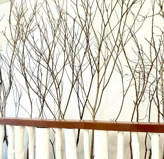 Mayad El Nido Hostel