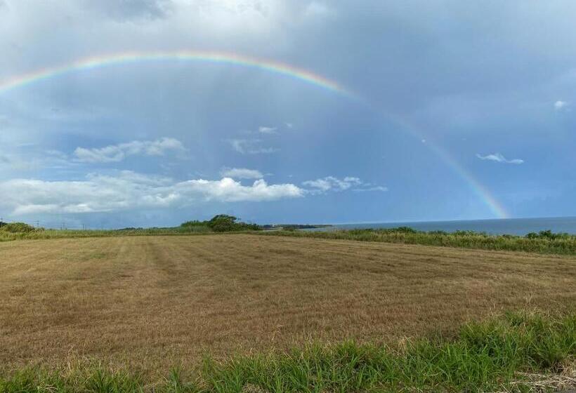 Pension カーリー商會
