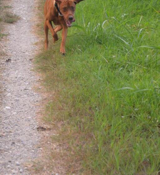 ペンション Casa Dei Colli