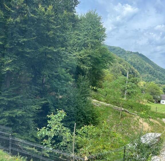 بنسيون Casa Dinu