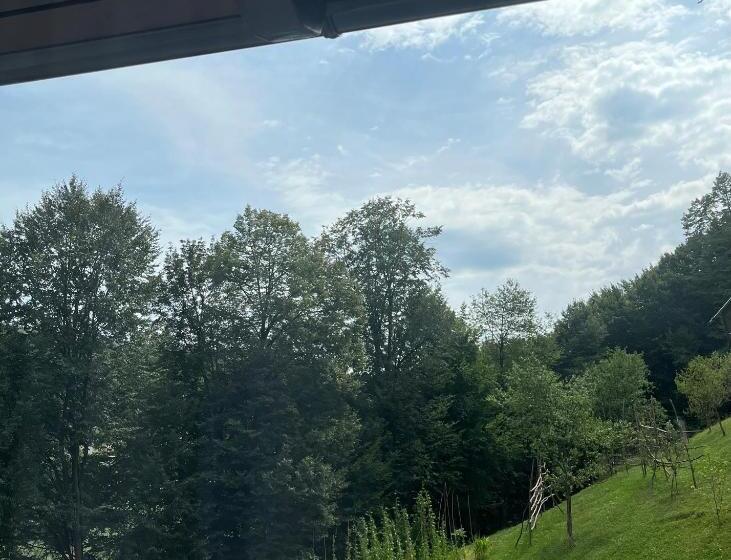 بنسيون Casa Dinu