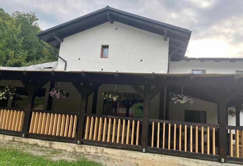 بنسيون Casa Dinu