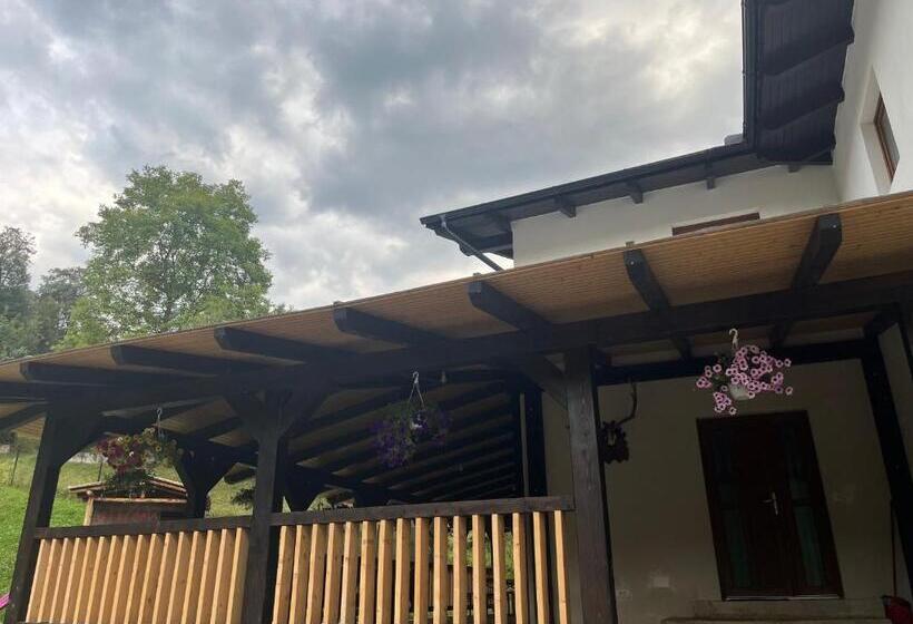 بنسيون Casa Dinu