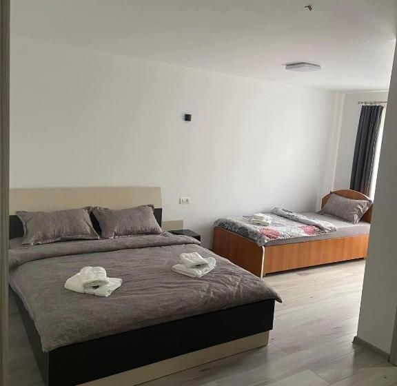 بنسيون Casa Dinu