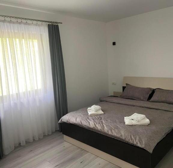 بنسيون Casa Dinu