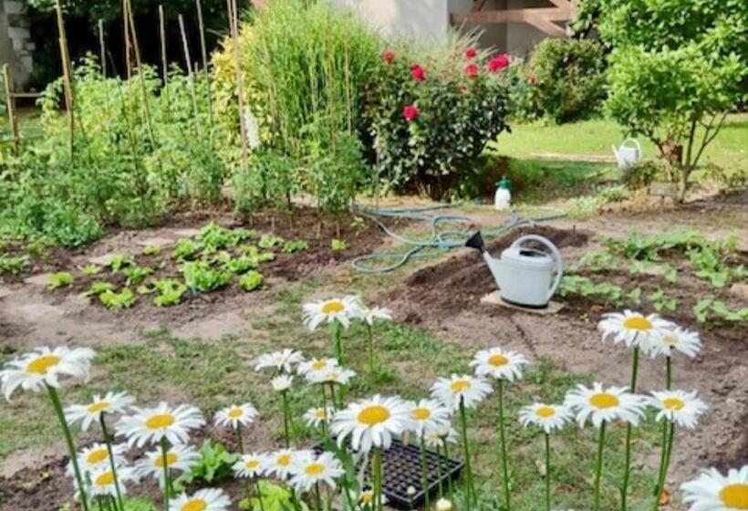 بنسيون Chambres D Hôtes Le Jardin De La Pichonnerie Proche Du Zoo De Beauval & Des Chateaux De La Loire