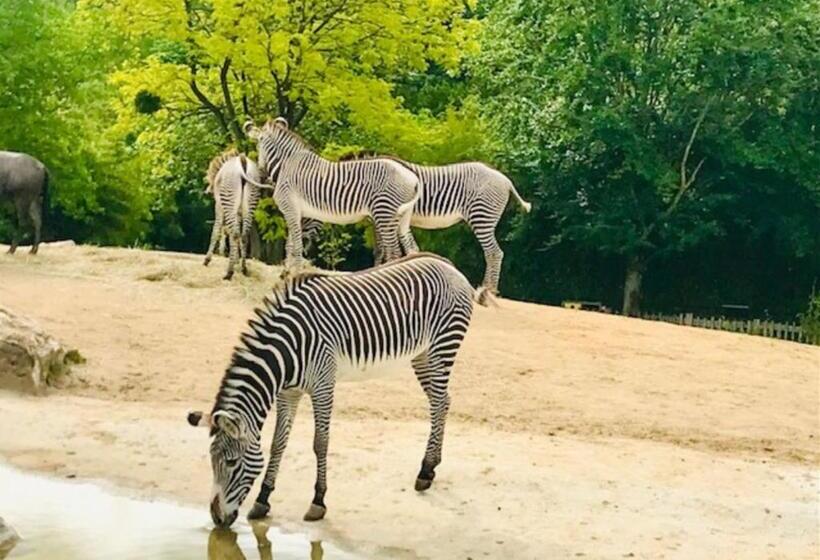 بنسيون Chambres D Hôtes Le Jardin De La Pichonnerie Proche Du Zoo De Beauval & Des Chateaux De La Loire