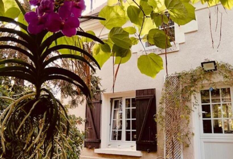 بنسيون Chambres D Hôtes Le Jardin De La Pichonnerie Proche Du Zoo De Beauval & Des Chateaux De La Loire
