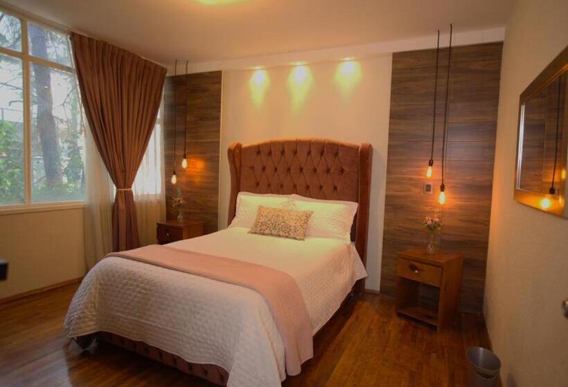 پانسیون Habitación Morada Luna Condesa 7