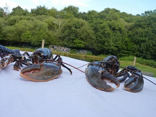 פנסיון La Suite Du Paysan