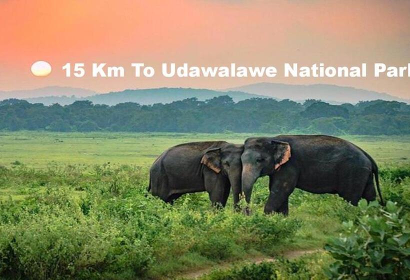 פנסיון New City