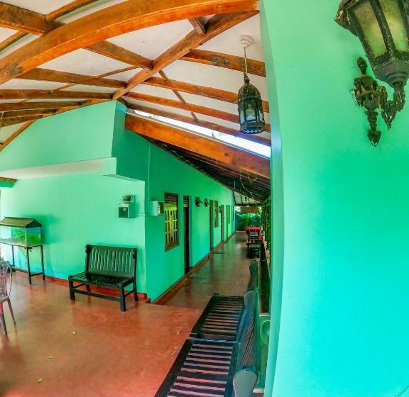 פנסיון New City