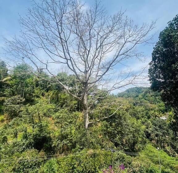 리조트 Alqasr Munnar