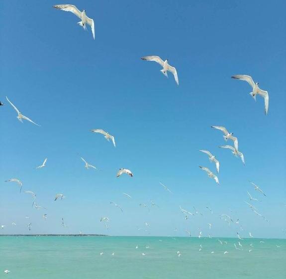 Turquesa Hotel Playa Club