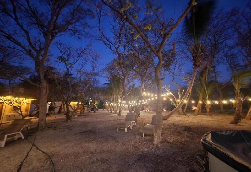 Turquesa Hotel Playa Club