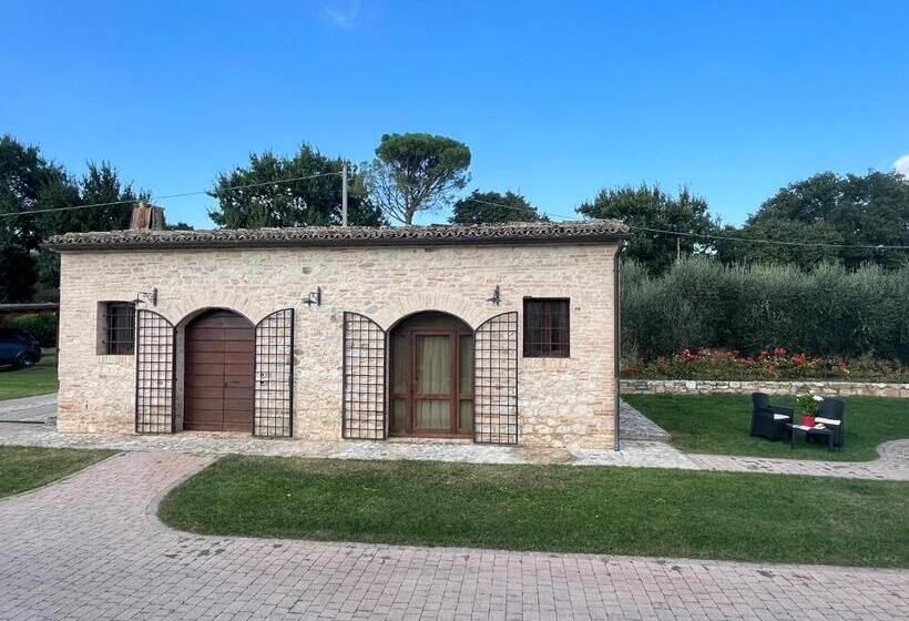 B&b L Ulivo Incantato