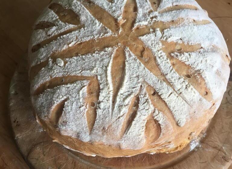 مبيت وإفطار Gilchristland Organic Farm Retreat