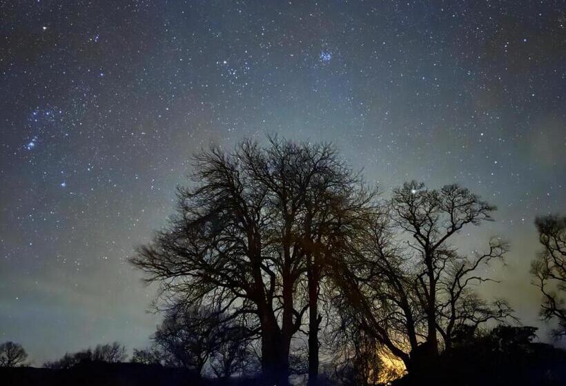 مبيت وإفطار Gilchristland Organic Farm Retreat