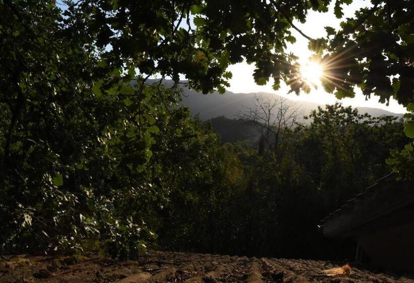 ベッドアンドブレックファースト Il Castello Nel Bosco