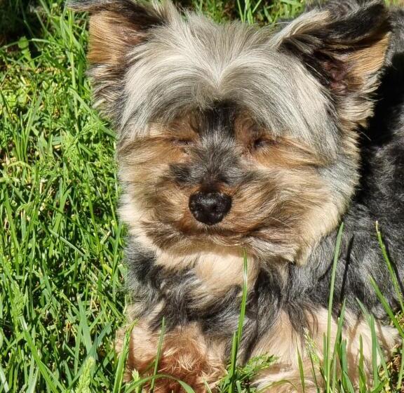 Bed and Breakfast La Garenne Chambre D  Hôtes