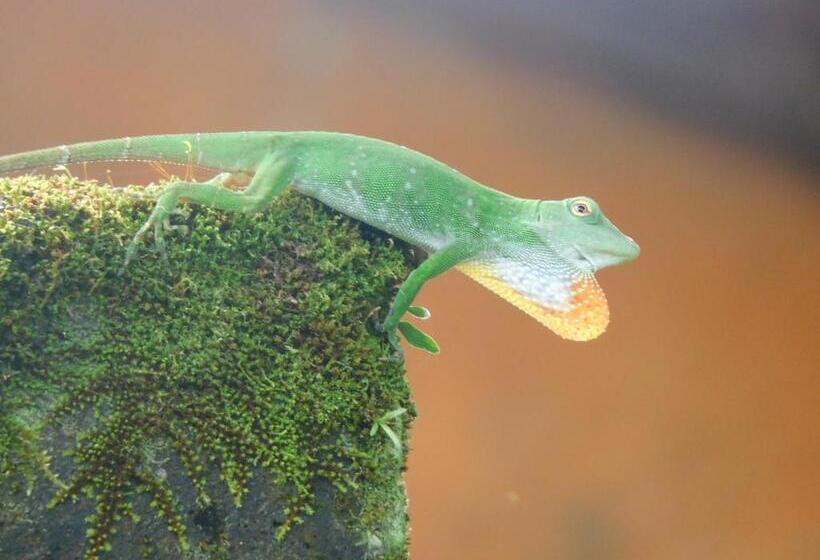 مبيت وإفطار Villas Santa Maria   Private Bay Lake Arenal